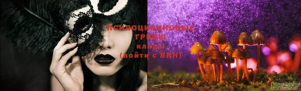 mdpv Вяземский