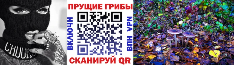 Псилоцибиновые грибы прущие грибы  Джанкой 
